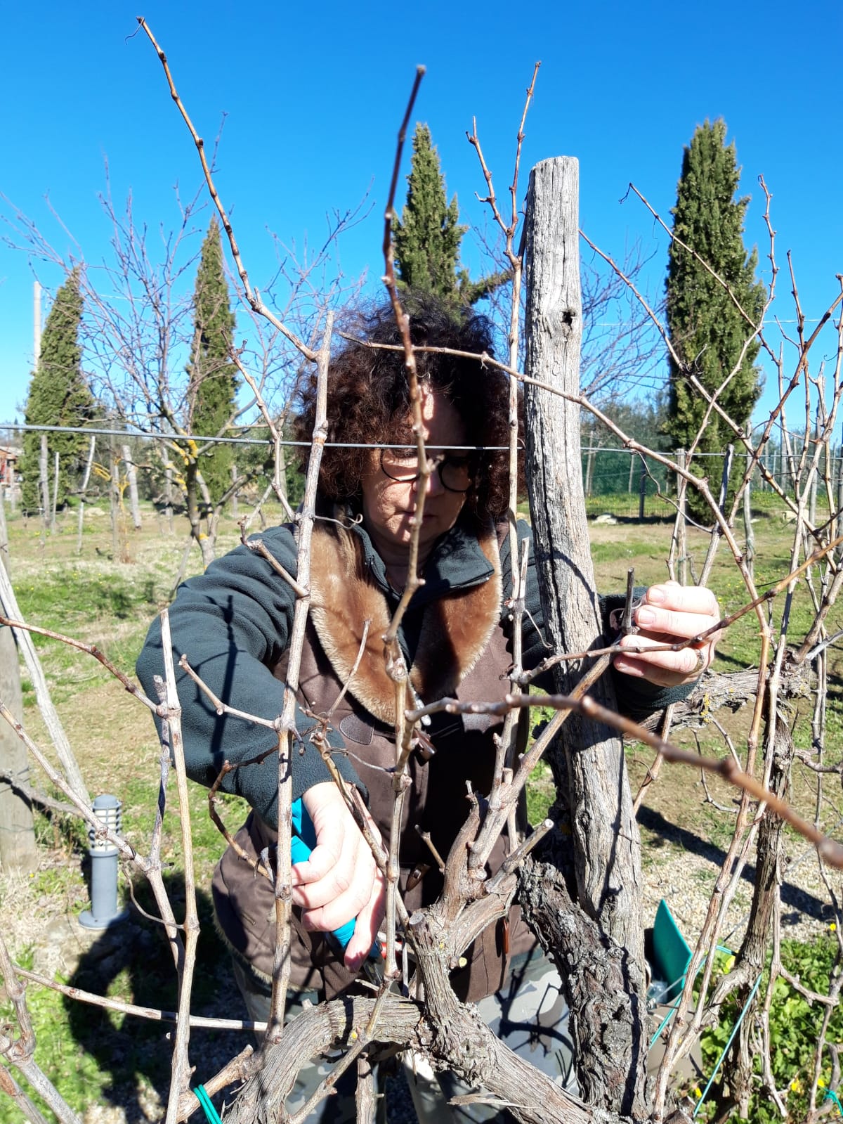 Ik mis de wintersnoei!