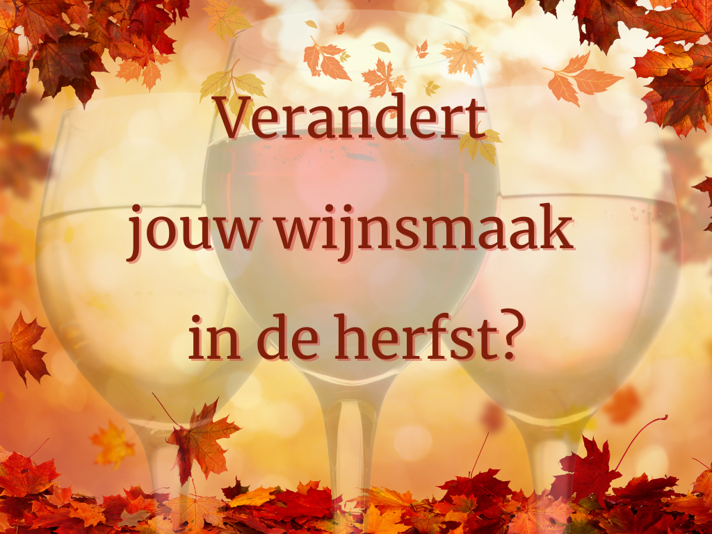 Wijnworkshop: Herfst in het glas, ontdek jouw wijnsmaak